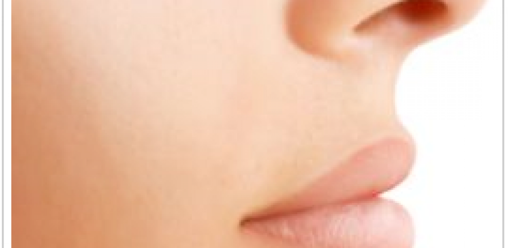 PERNAFASAN DUA LOBANG HIDUNG