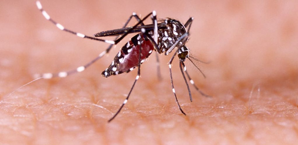 Suspek Dengue Berdasarkan Pelaporan SKDR DIY Minggu Ke-23 Tahun 2019