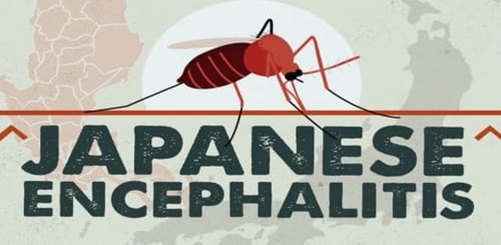 Surveilans Japanese Encephalitis (JE) di DIY